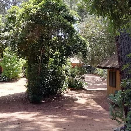 Las Chozas Punta del Este Esterno foto