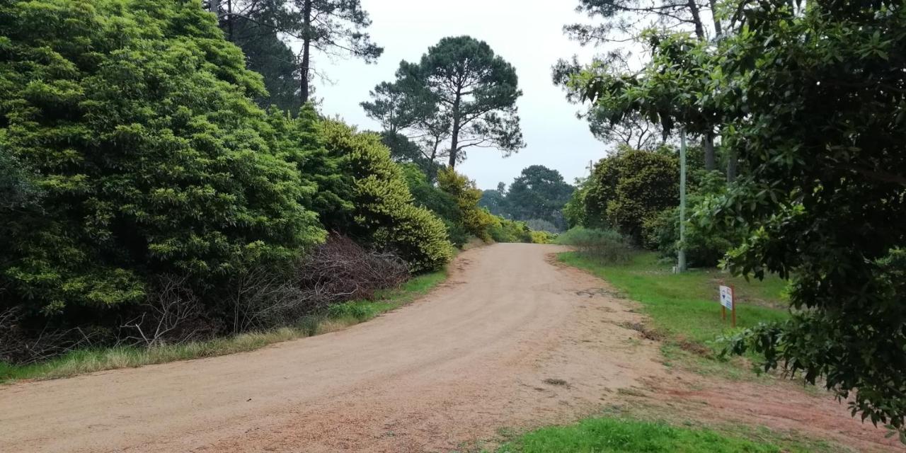 Las Chozas Punta del Este Camera foto