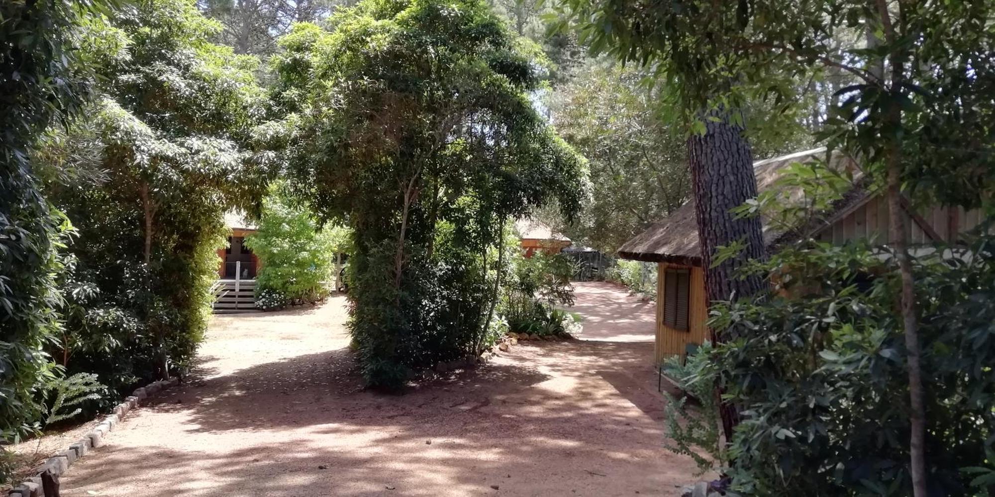 Las Chozas Punta del Este Esterno foto
